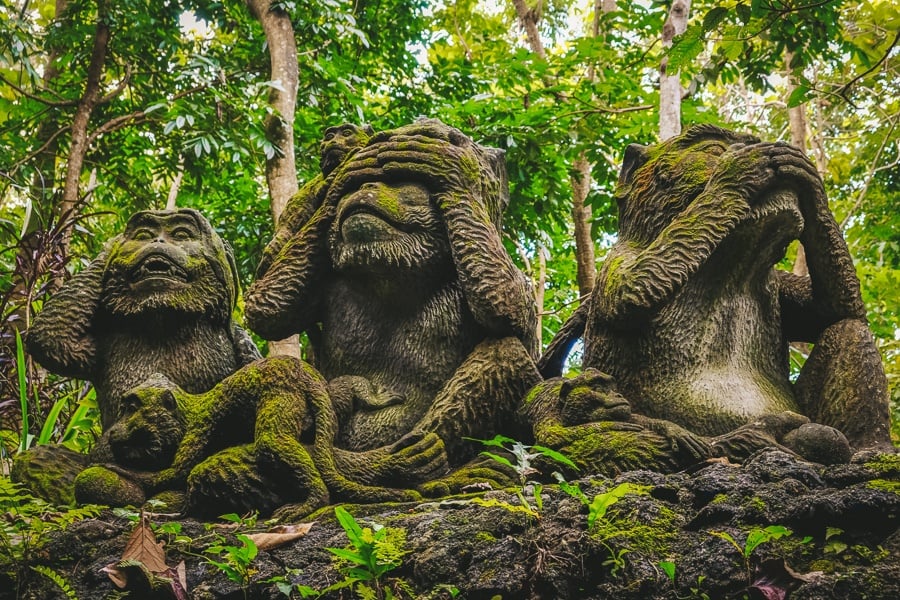 Sacred Monkey Forest Sanctuary