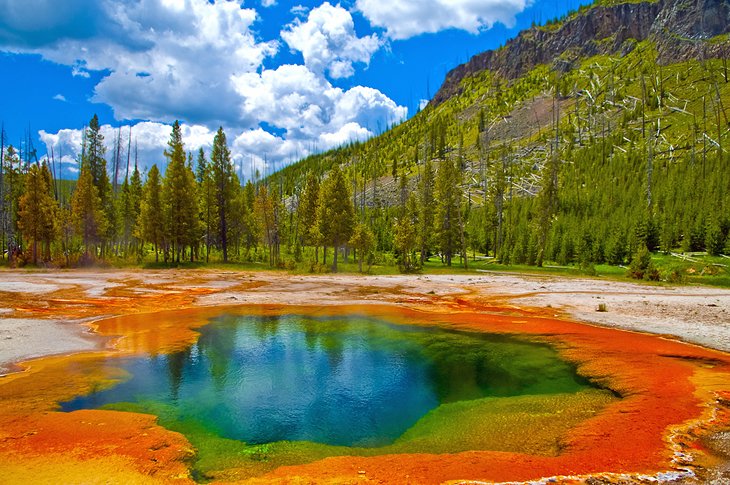 Yellowstone National Park, Wyoming, USA